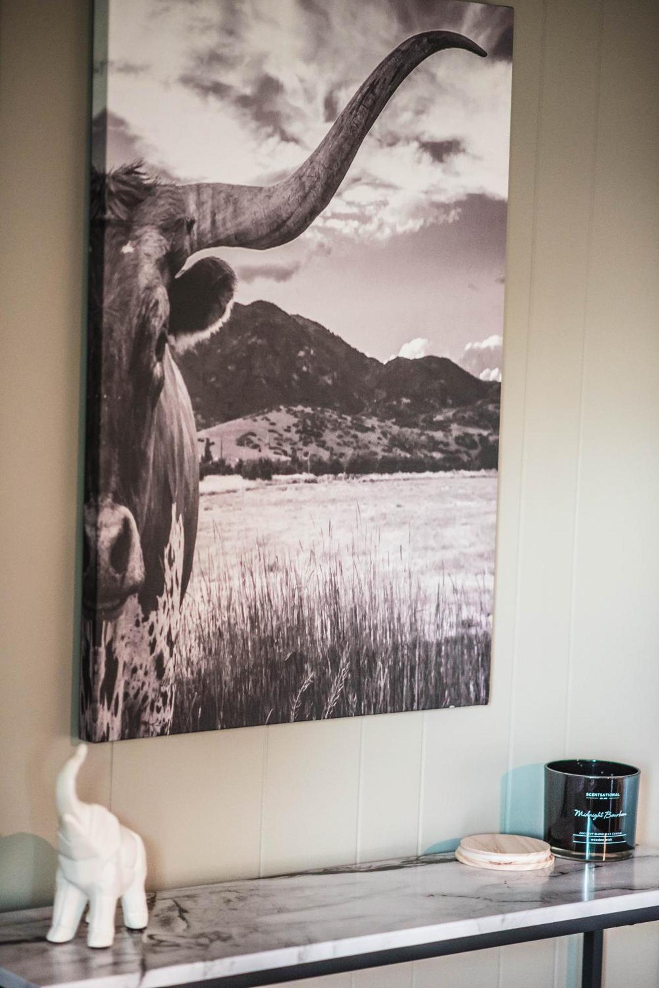 Mount Tabor Ranch Near Vt - King Bed/Fast Wi-Fi Villa Blacksburg Exterior foto
